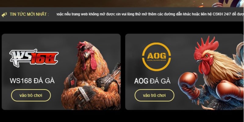 Đa dạng kèo cược giúp người chơi dễ thắng hơn