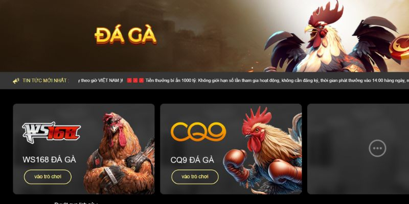 Chọn sảnh Đá gà để bắt đầu cá cược