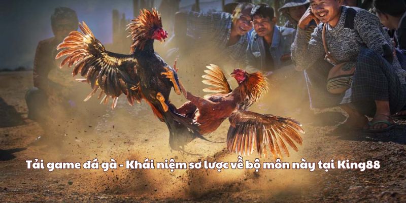 đá gà - Khái niệm sơ lược về bộ môn này tại King88