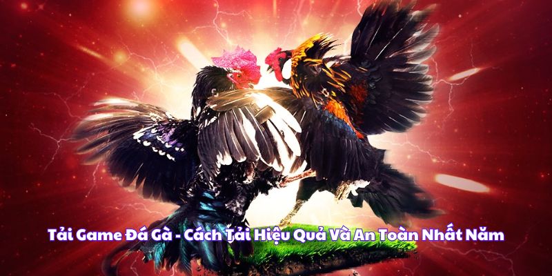 Hướng dẫn chi tiết cách tải game đá gà đỉnh cao tại nhà cái King88